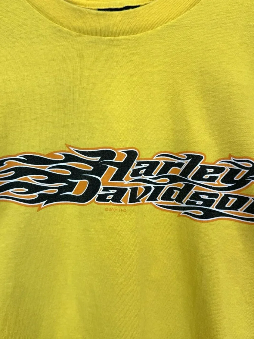 Vintage 90s Y2K Harley Davidson T-Shirt Tee Winnipeg Manitoba Buffalo Lone Star - Picture 6 of 8